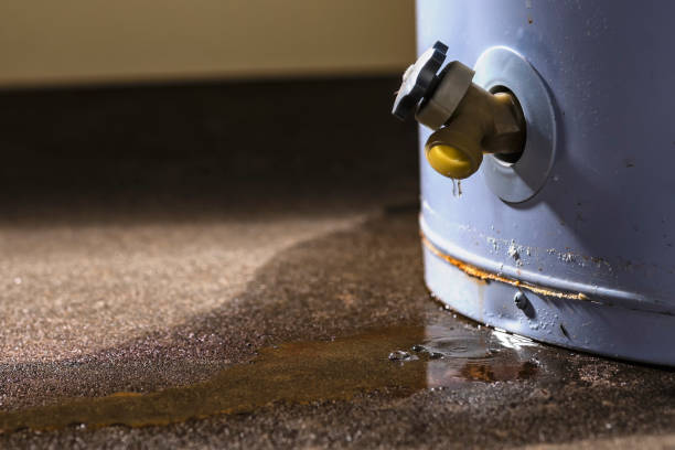 Best Water damage mitigation services  in Port Jefferson, NY