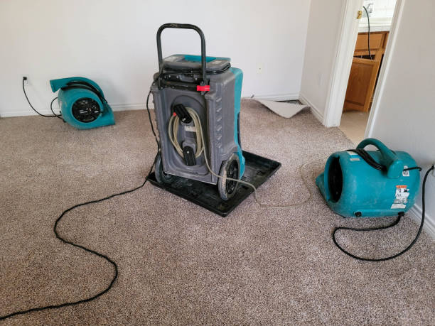 Best Basement water damage restoration  in Port Jefferson, NY