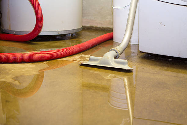 Best Water damage restoration experts  in Port Jefferson, NY