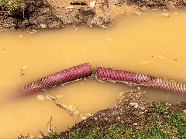  Port Jefferson, NY Water damage restoration Pros