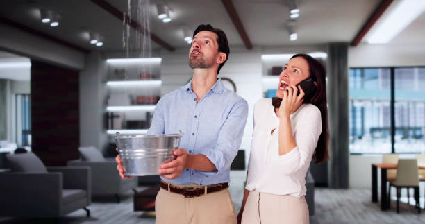 Best Carpet water damage restoration  in Port Jefferson, NY